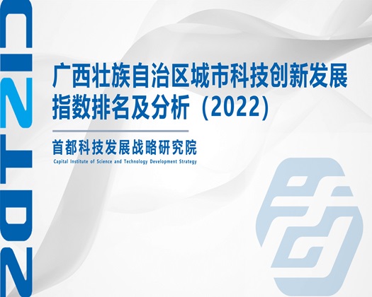 插逼操逼片网站【成果发布】广西壮族自治区城市科技创新发展指数排名及分析（2022）